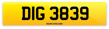 DIG 3839