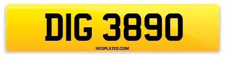 DIG 3890
