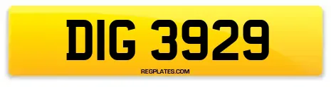 DIG 3929