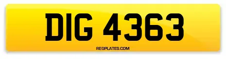 DIG 4363