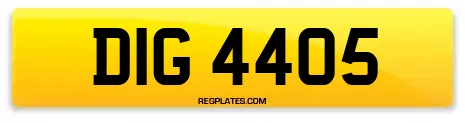 DIG 4405