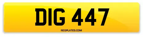 DIG 447