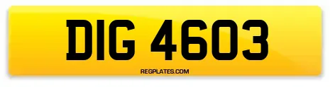 DIG 4603