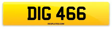 DIG 466