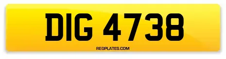 DIG 4738