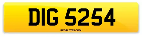 DIG 5254