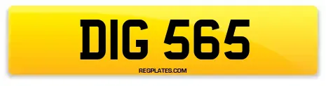 DIG 565