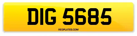 DIG 5685