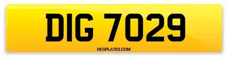 DIG 7029