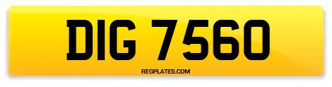 DIG 7560