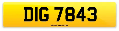 DIG 7843