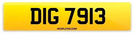 DIG 7913