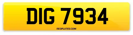 DIG 7934