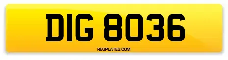 DIG 8036
