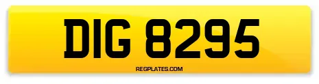 DIG 8295