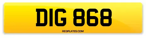 DIG 868