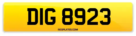 DIG 8923