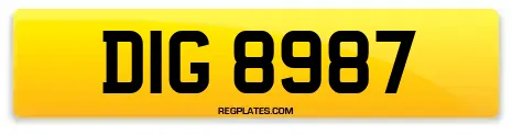 DIG 8987