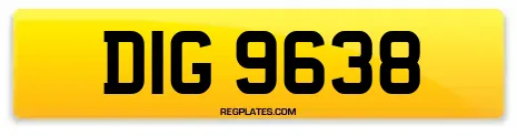 DIG 9638