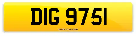 DIG 9751