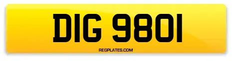 DIG 9801