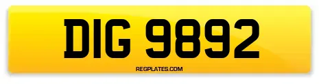 DIG 9892
