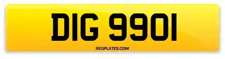 DIG 9901