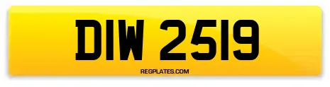DIW 2519