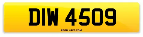 DIW 4509