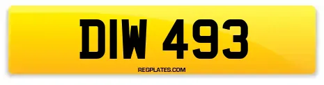 DIW 493