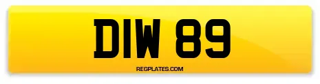 DIW 89