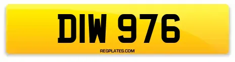 DIW 976
