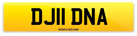 DJ11 DNA