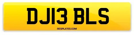 DJ13 BLS