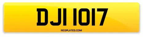 DJI 1017