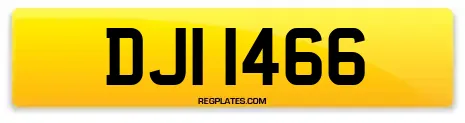DJI 1466