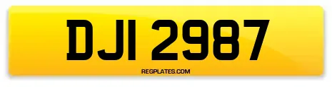 DJI 2987