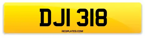 DJI 318