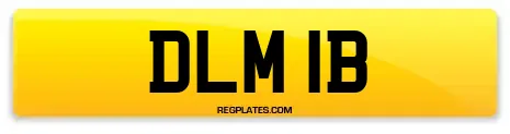 DLM 1B
