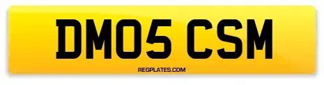 DM05 CSM