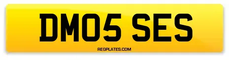 DM05 SES