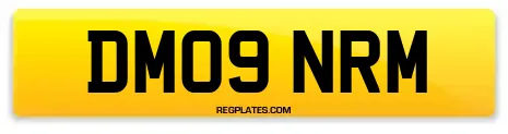 DM09 NRM