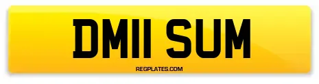 DM11 SUM