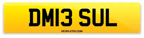 DM13 SUL