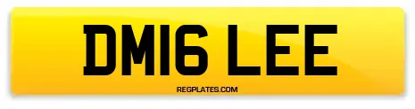 DM16 LEE
