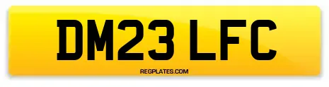 DM23 LFC