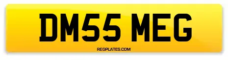 DM55 MEG