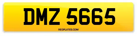 DMZ 5665
