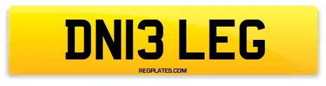 DN13 LEG