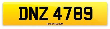 DNZ 4789